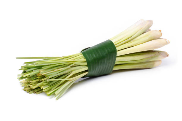 LEMONGRASS STALK